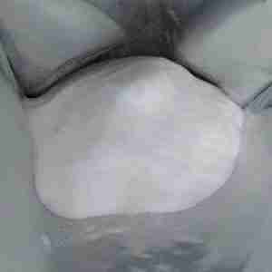 Folcisteine CAS 5025-82-1