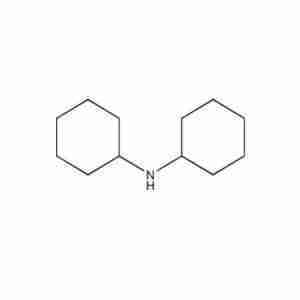 Dicyclohexylamine CAS 101-83-7