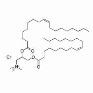 DOTAP CAS 132172-61-3