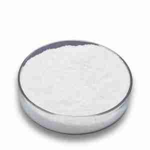 Gamma-Oryzanol CAS 11042-64-1