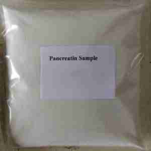 Pancreatin Cas 8049-47-6