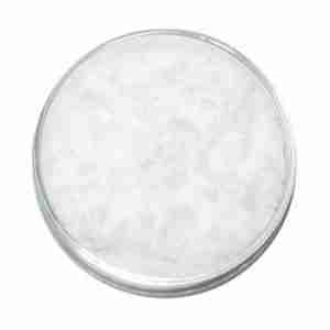 chlorobutanol cas 1320-66-7