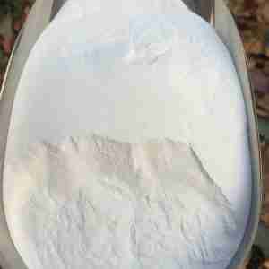 l-carnosine cas 305-84-0