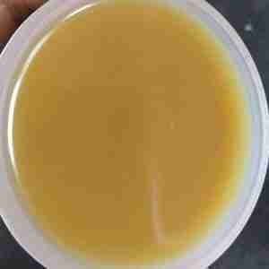 n-methyl-n-benzylaniline cas 614-30-2