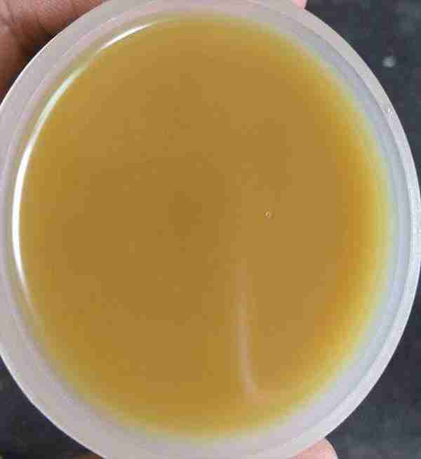 n-methyl-n-benzylaniline cas 614-30-2