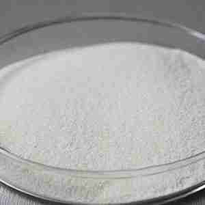 papain cas 9001-73-4