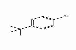 4-tert-Butylphenol CAS# 98-54-4