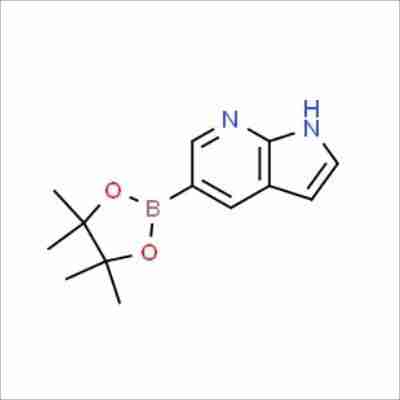 7-Azaindole-5-boronic acid pinacol ester CAS# 754214-56-7