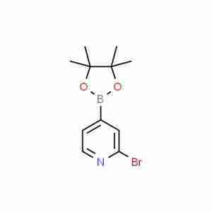 2-BROMO-4-(4,4,5,5-TETRAMETHYL-[1,3,2]DIOXABOROLAN-2-YL)-PYRIDINE CAS#458532-82-6