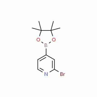 2-BROMO-4-(4,4,5,5-TETRAMETHYL-[1,3,2]DIOXABOROLAN-2-YL)-PYRIDINE CAS#458532-82-6