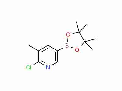 2-CHLORO-3-METHYLPYRIDINE-5-BORONIC ACID PINACOL ESTER CAS 1010101-07-1