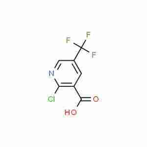 2-Chloro-5-(trifluoromethyl)-3-pyridinecarboxylic acid CAS#505084-59-3