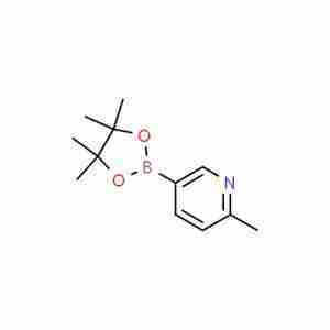 2-Picoline-5-boronic acid pinacolate CAS#610768-32-6