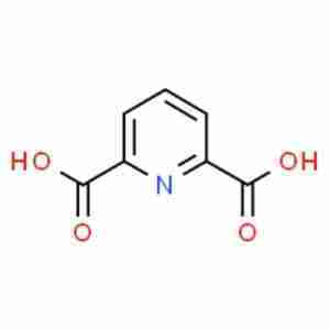 2,6-Pyridinedicarboxylic acid CAS# 499-83-2