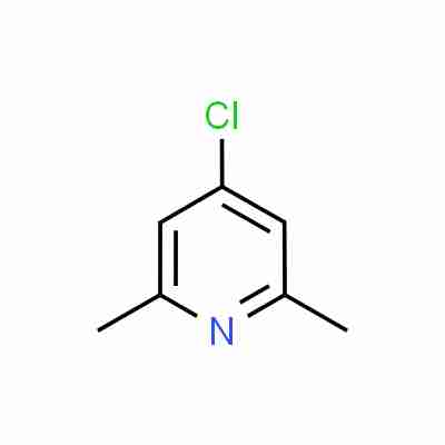 4-Chloro-2,6-dimethylpyridine CAS#3512-75-2