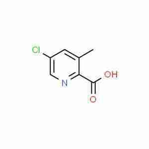 5-CHLORO-3-METHYL-PYRIDINE-2-CARBOXYLIC ACID CAS#886365-46-4
