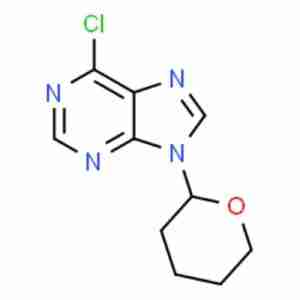6-CHLORO-9-(TETRAHYDRO-2-PYRANYL)-PURINE CAS# 7306-68-5