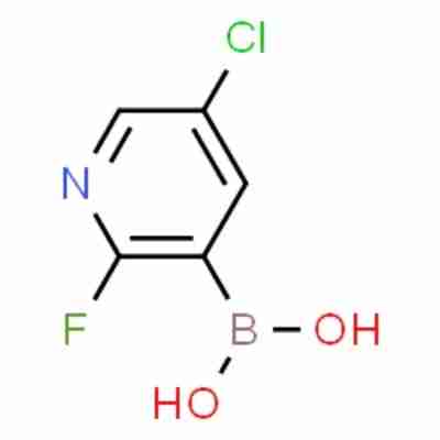 5-Chloro-2-fluoropyridin-3-ylboronic acid CAS#937595-70-5