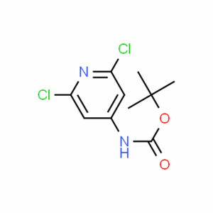 Carbamic acid, (2,6-dichloro-4-pyridinyl)-, 1,1-dimethylethyl ester (9CI) CAS#501907-61-5