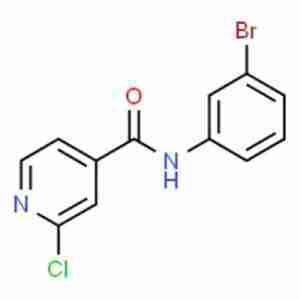N-(3-bromophenyl)-2-chloropyridine-4-carboxamide CAS# 1019466-39-7