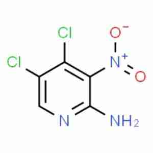 2-Amino-4,5-dichloro-3-nitropyridine CAS#662116-67-8