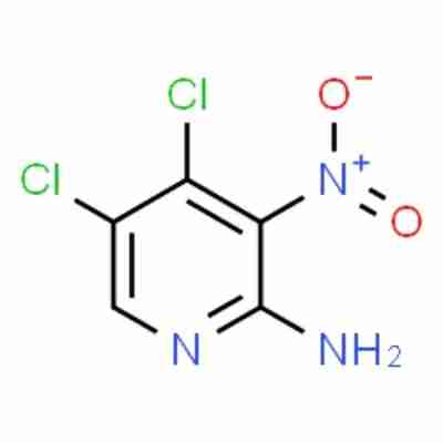 2-Amino-4,5-dichloro-3-nitropyridine CAS#662116-67-8