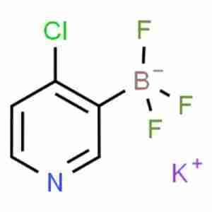 Potassium (4-chloropyridin-3-yl)trifluoroborate CAS#1245906-67-5