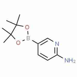 2-Aminopyridine-5-boronic acid, pinacol ester CAS#827614-64-2